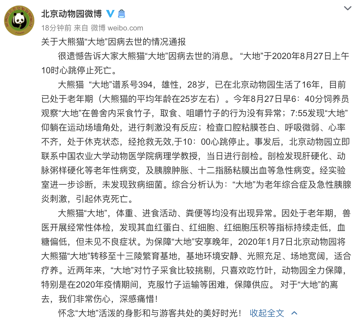 大熊猫|心痛！北京动物园28岁大熊猫“大地”因病去世