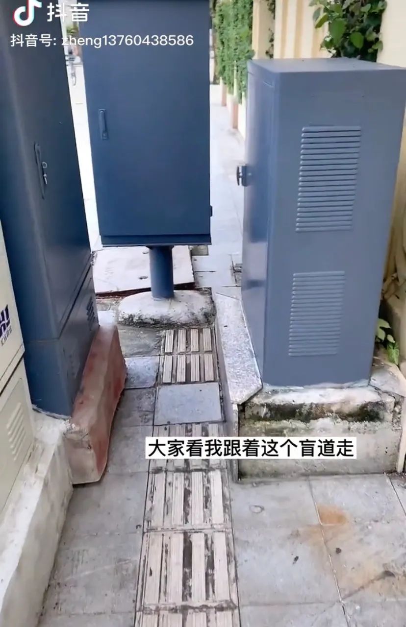 导盲犬|在现实中消失的盲人，在网上悄悄直播。｜百家故事