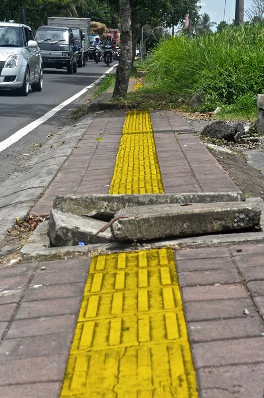 导盲犬|在现实中消失的盲人，在网上悄悄直播。｜百家故事