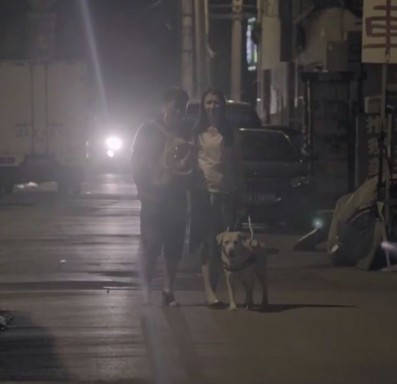 导盲犬|在现实中消失的盲人，在网上悄悄直播。｜百家故事