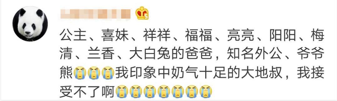 大熊猫|惜别！28岁高龄，因病离世