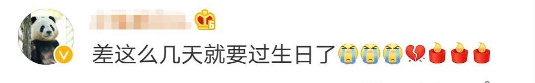 大熊猫|惜别！28岁高龄，因病离世