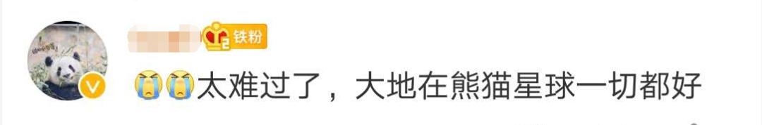 大熊猫|惜别！28岁高龄，因病离世