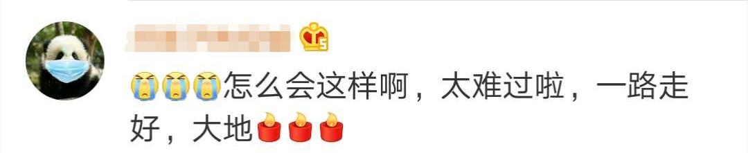 大熊猫|惜别！28岁高龄，因病离世