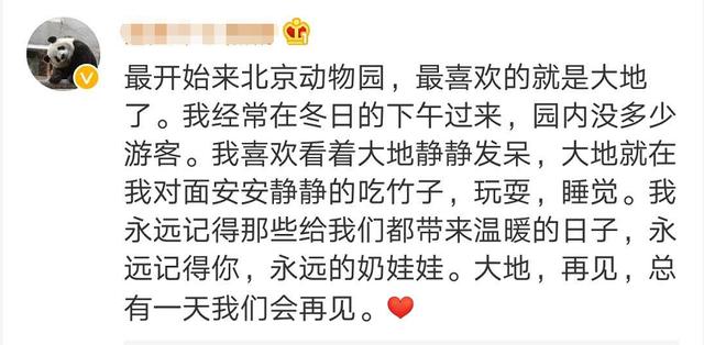 大熊猫|惜别！28岁高龄，因病离世