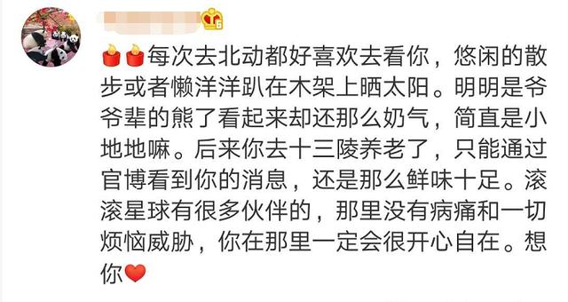 大熊猫|惜别！28岁高龄，因病离世