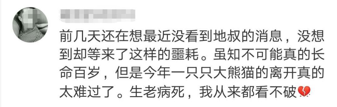 大熊猫|惜别！28岁高龄，因病离世