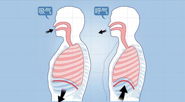 生活|人正常可以屏气30秒以上，为什么勒颈几秒钟就不行了？