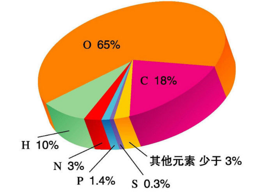 科学|人死了之后，身体和意识去了哪里？