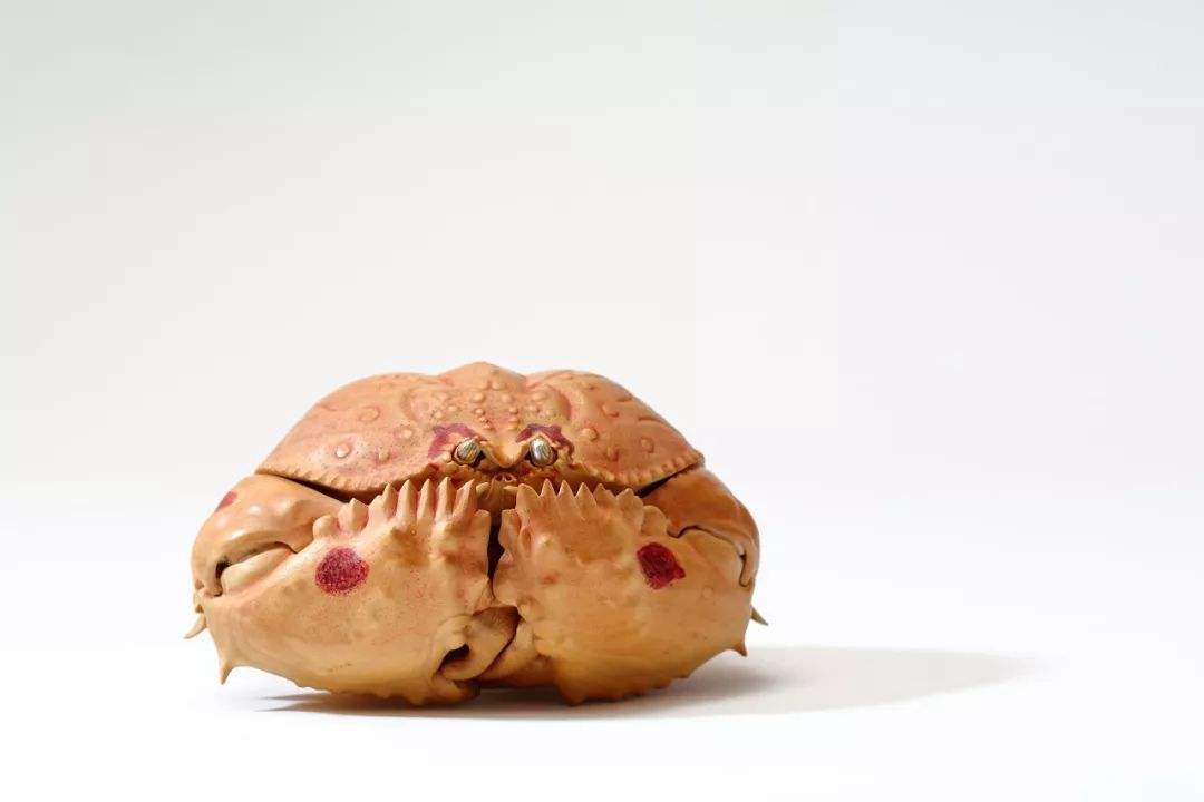 馒头蟹|动物界的老王：馒头蟹，为什么村民在海边捕获的馒头蟹都会扔掉？