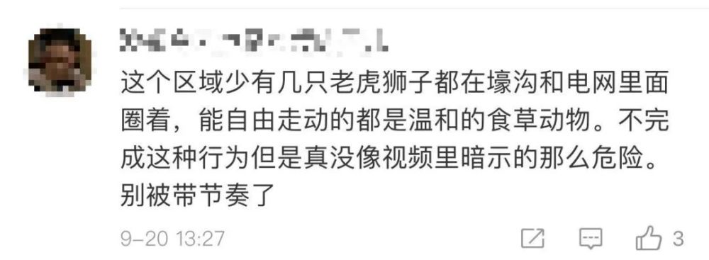 老虎|女孩坐车顶游览北京野生动物园 网友：给老虎送餐？
