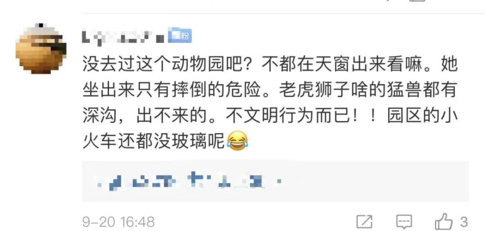 老虎|女孩坐车顶游览北京野生动物园 网友：给老虎送餐？