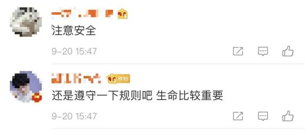 老虎|女孩坐车顶游览北京野生动物园 网友：给老虎送餐？