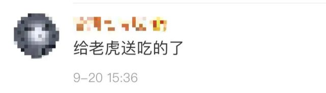 老虎|女孩坐车顶游览北京野生动物园?网友:给老虎送餐吗……园方回应