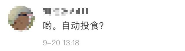 老虎|女孩坐车顶游览北京野生动物园?网友:给老虎送餐吗……园方回应