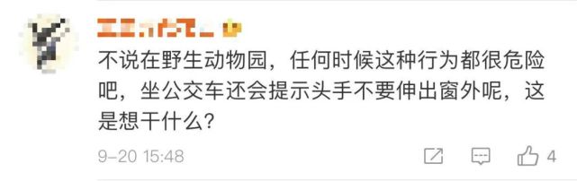 老虎|女孩坐车顶游览北京野生动物园?网友:给老虎送餐吗……园方回应