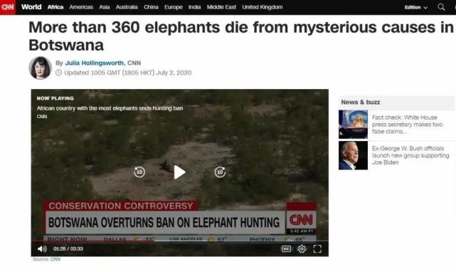 大象|数百头非洲象离奇死亡终“破案”！