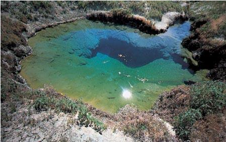 大象|数百头非洲象离奇死亡终“破案”！