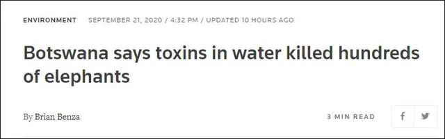 大象|数百头非洲象离奇死亡终“破案”！