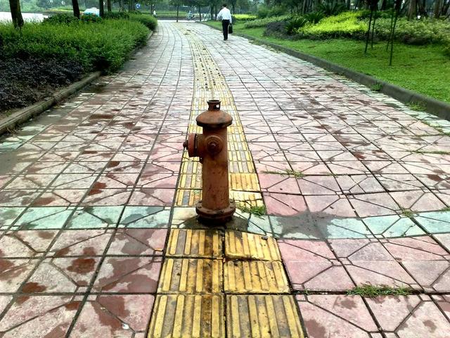 社会|这1700万人仅仅是活着，就已经拼尽了全力