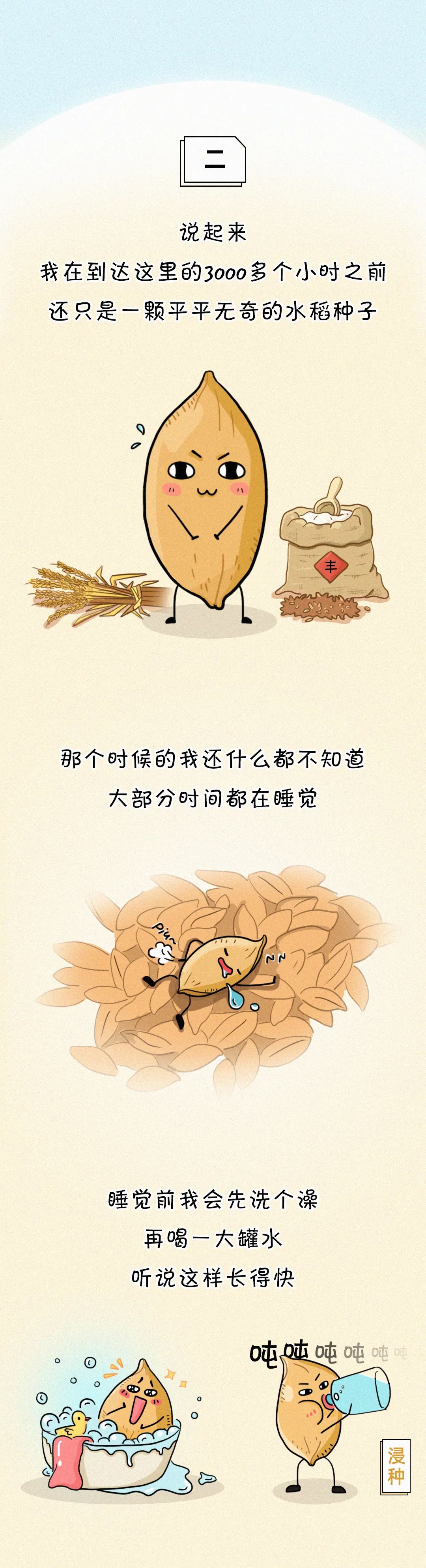 |这碗饭，有故事！