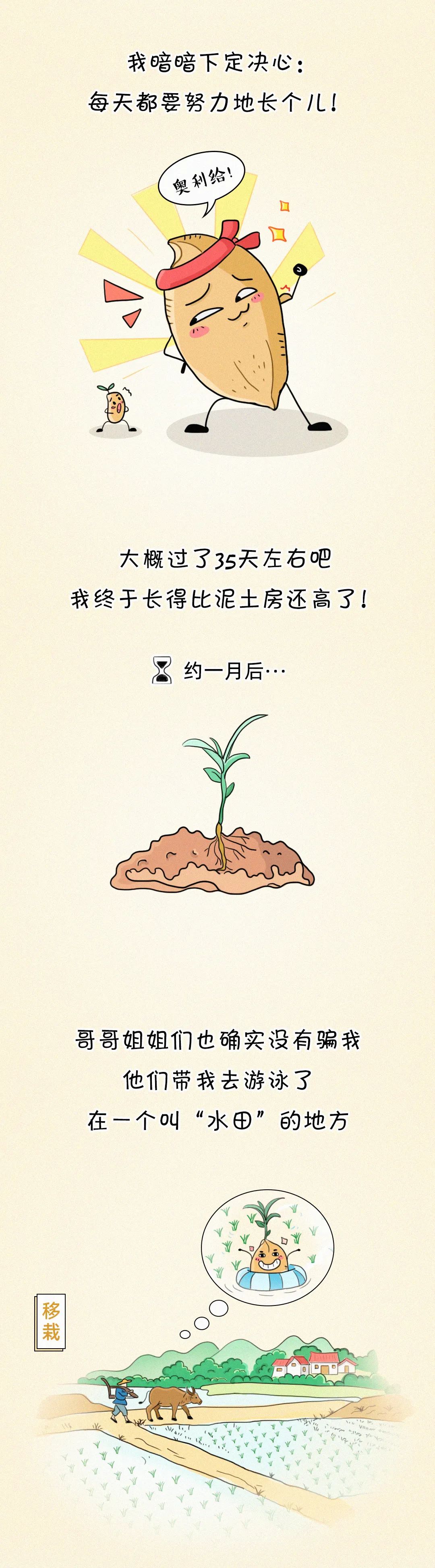 |这碗饭，有故事！