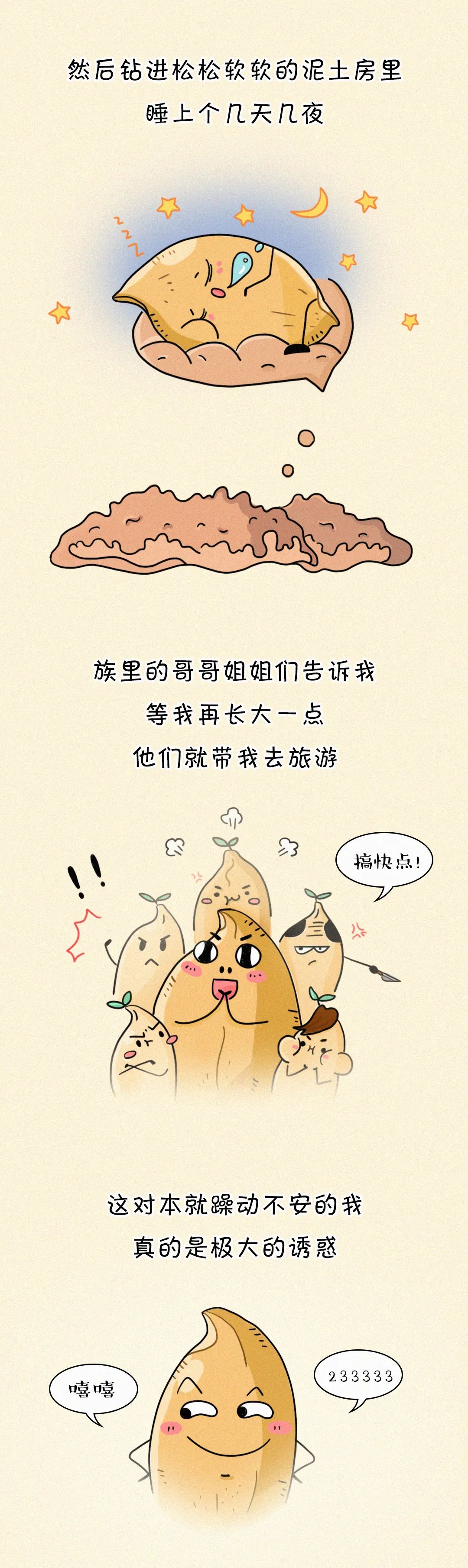 |这碗饭，有故事！