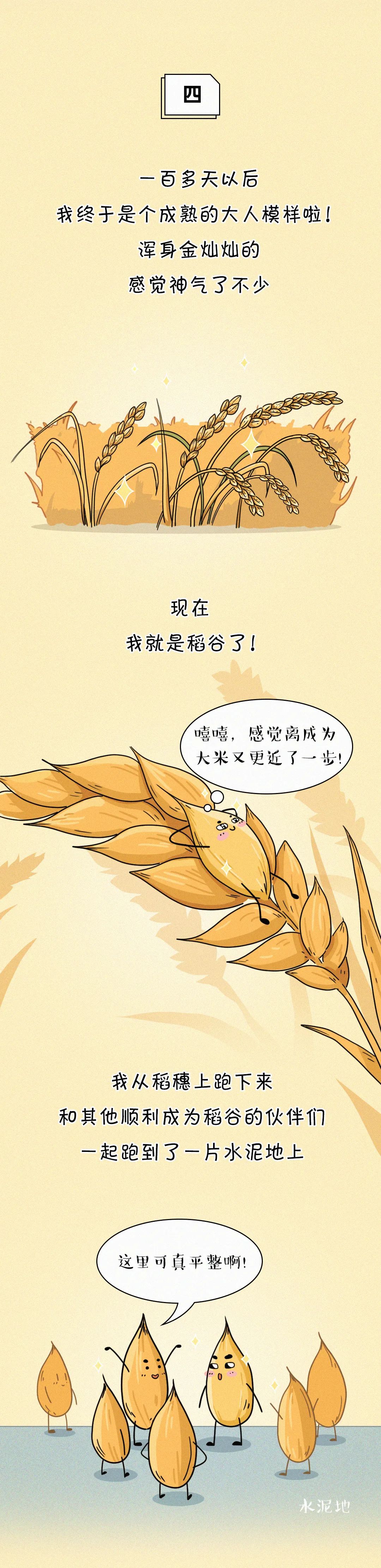 |这碗饭，有故事！