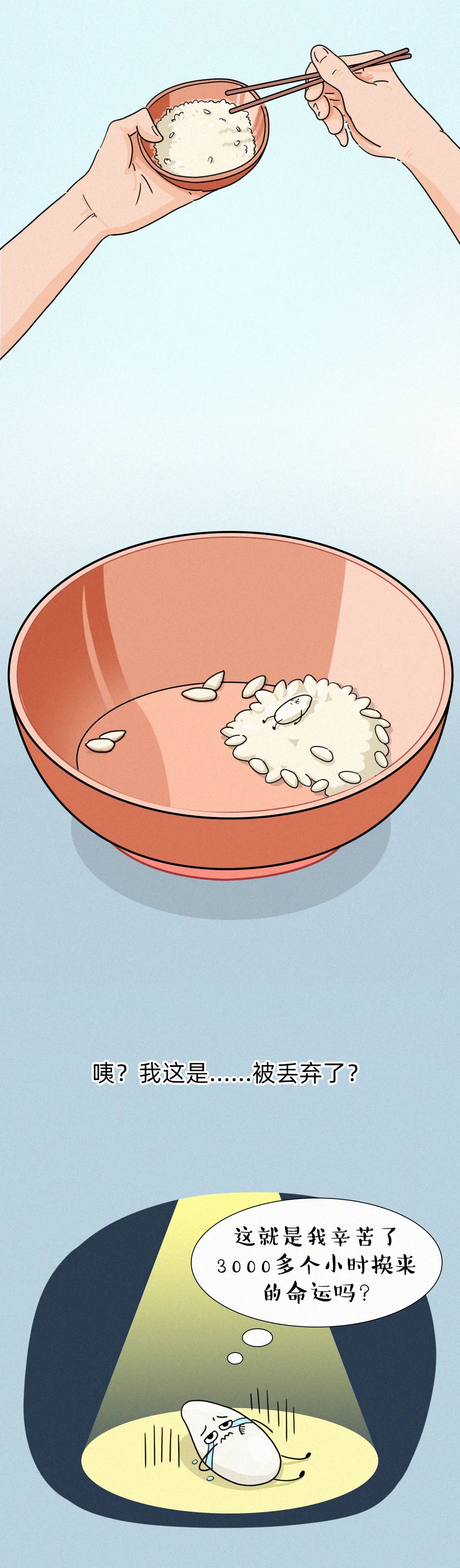 |这碗饭，有故事！