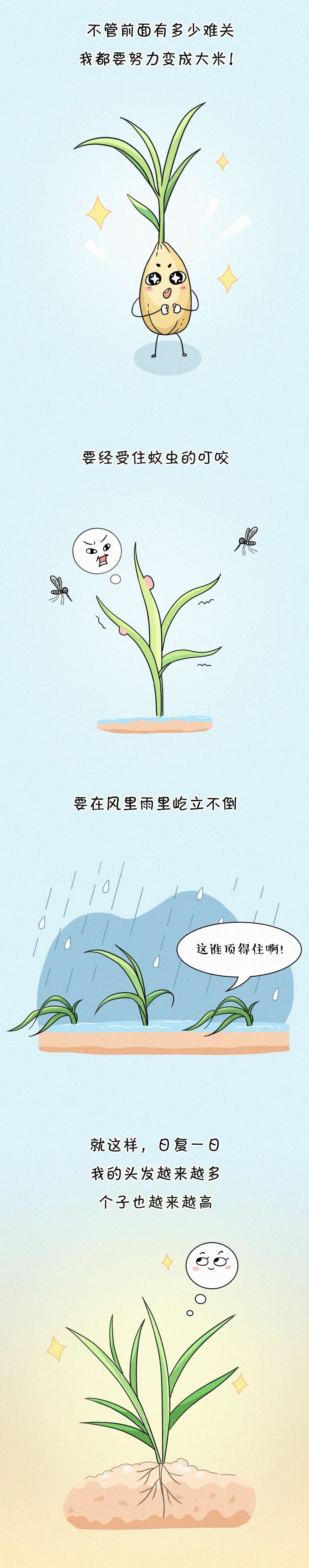 |这碗饭，有故事！