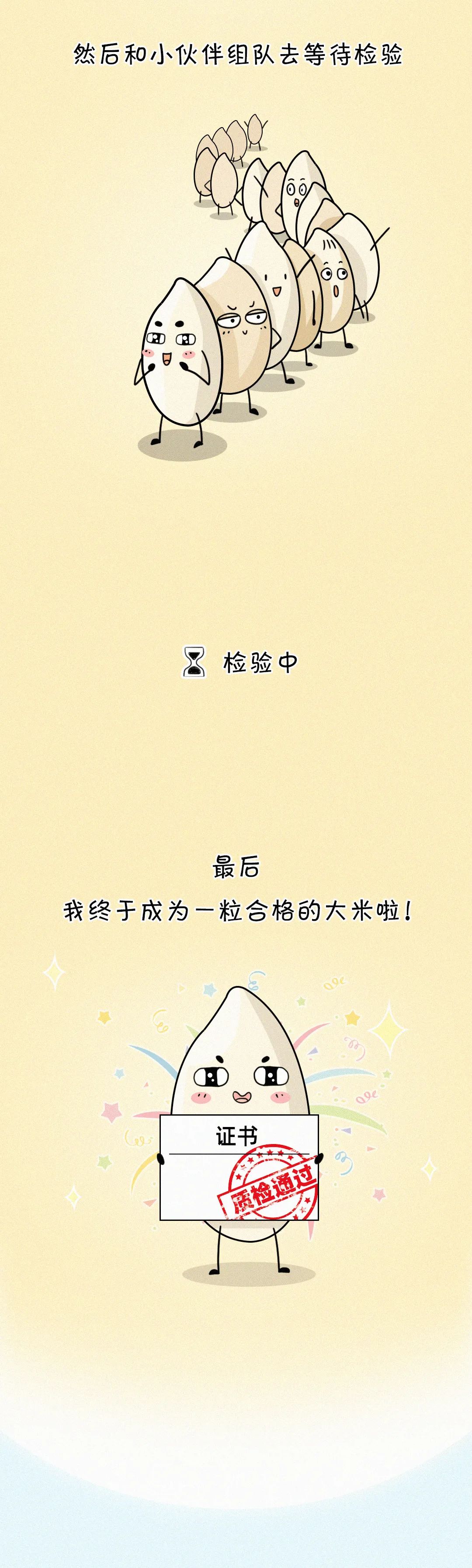 |这碗饭，有故事！