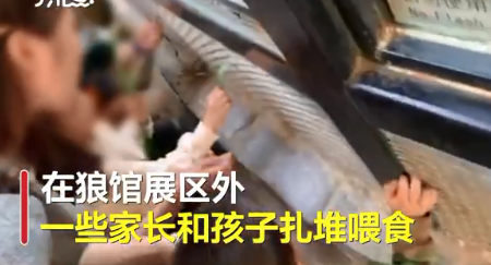 北京动物园|北京动物园回应“家长带着孩子喂狼吃草”：涉事女子已列入黑名单