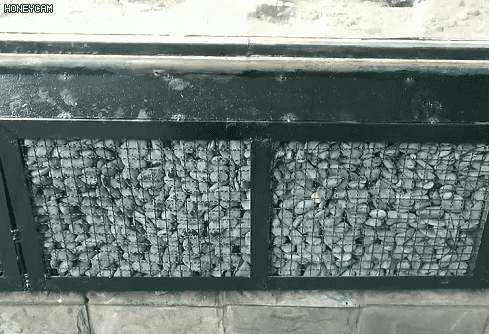 动物|女子北京动物园喂狼吃草，拉黑