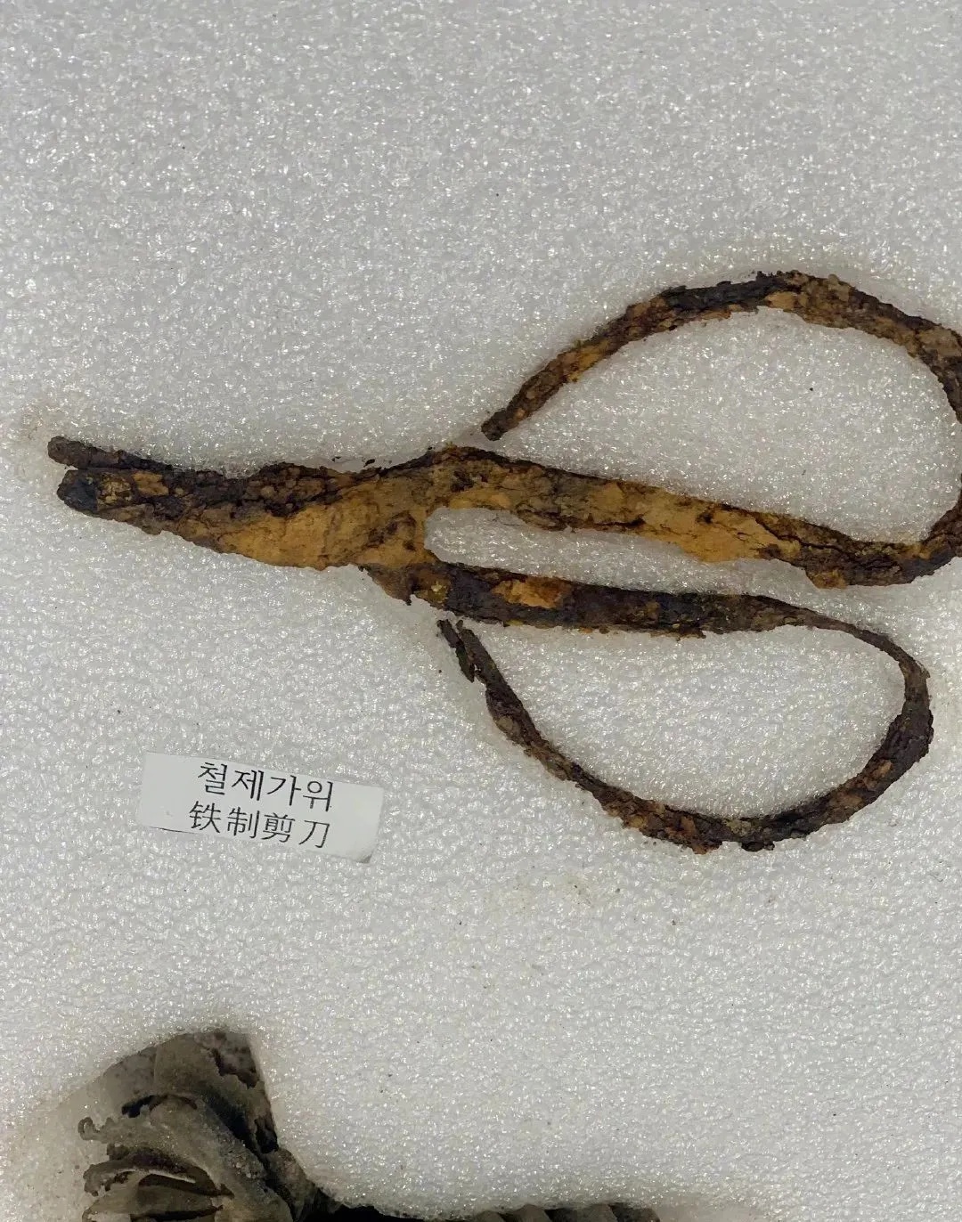 中国军情|山河无恙,英烈回家!