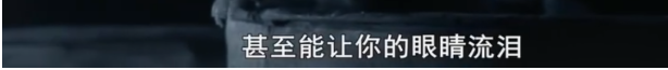 蜜獾|报复心超强的“平头哥”有天敌吗？天敌是什么？