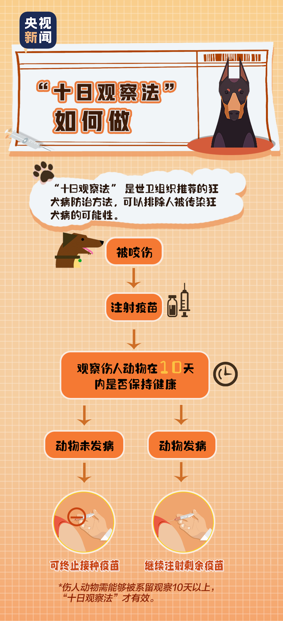 狂犬病|「健康」关于狂犬病的这些真相，你或许还未了解……
