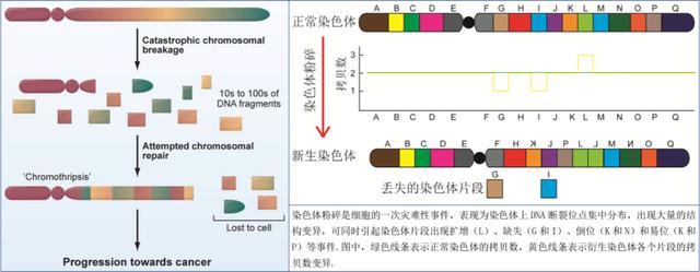 乳腺癌|我听见赞誉来自人海，我排着队拿着诺奖的号码牌