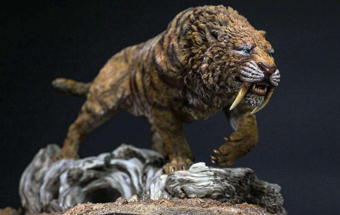 剑齿虎|只要在牛屁股上画眼睛，狮子就不敢攻击牛，这是怎么回事？