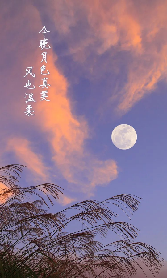 娱乐|今晚，被这几句话甜到了 (???*)