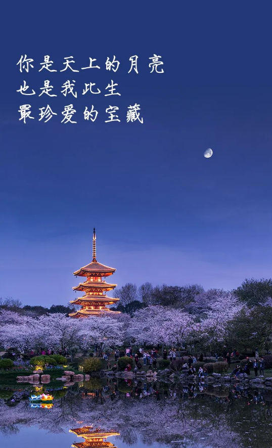 娱乐|今晚，被这几句话甜到了 (???*)