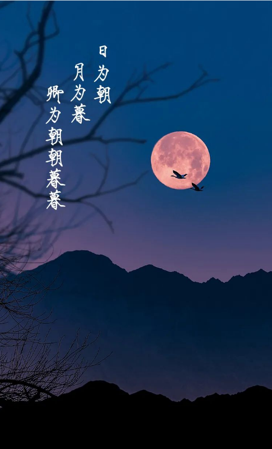 娱乐|今晚，被这几句话甜到了 (???*)