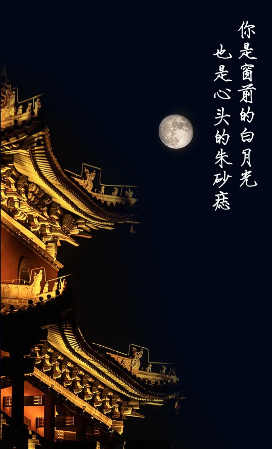 娱乐|今晚，被这几句话甜到了 (???*)