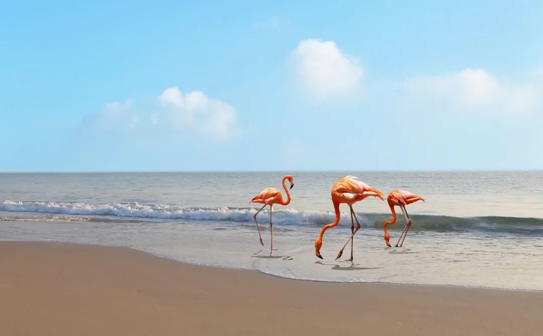 国学|这些断章取义的名言警句，被用错了上千年