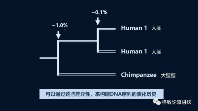 尼安特人|1.4万年前，欧洲人的眼睛和皮肤还是深色的