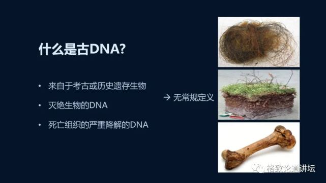 尼安特人|1.4万年前，欧洲人的眼睛和皮肤还是深色的