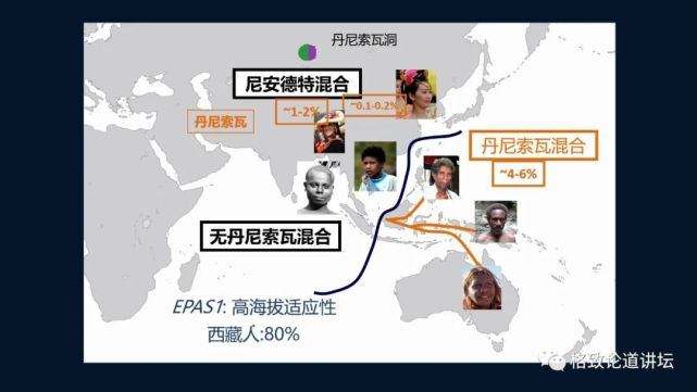 尼安特人|1.4万年前，欧洲人的眼睛和皮肤还是深色的