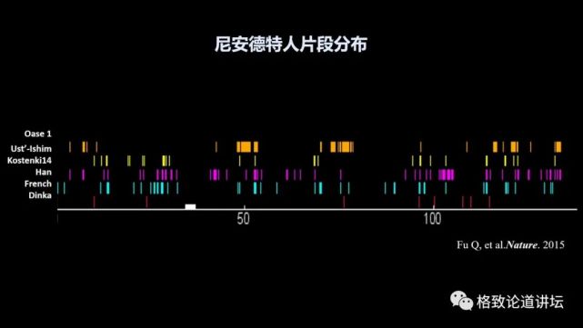 尼安特人|1.4万年前，欧洲人的眼睛和皮肤还是深色的