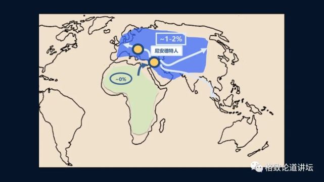 尼安特人|1.4万年前，欧洲人的眼睛和皮肤还是深色的