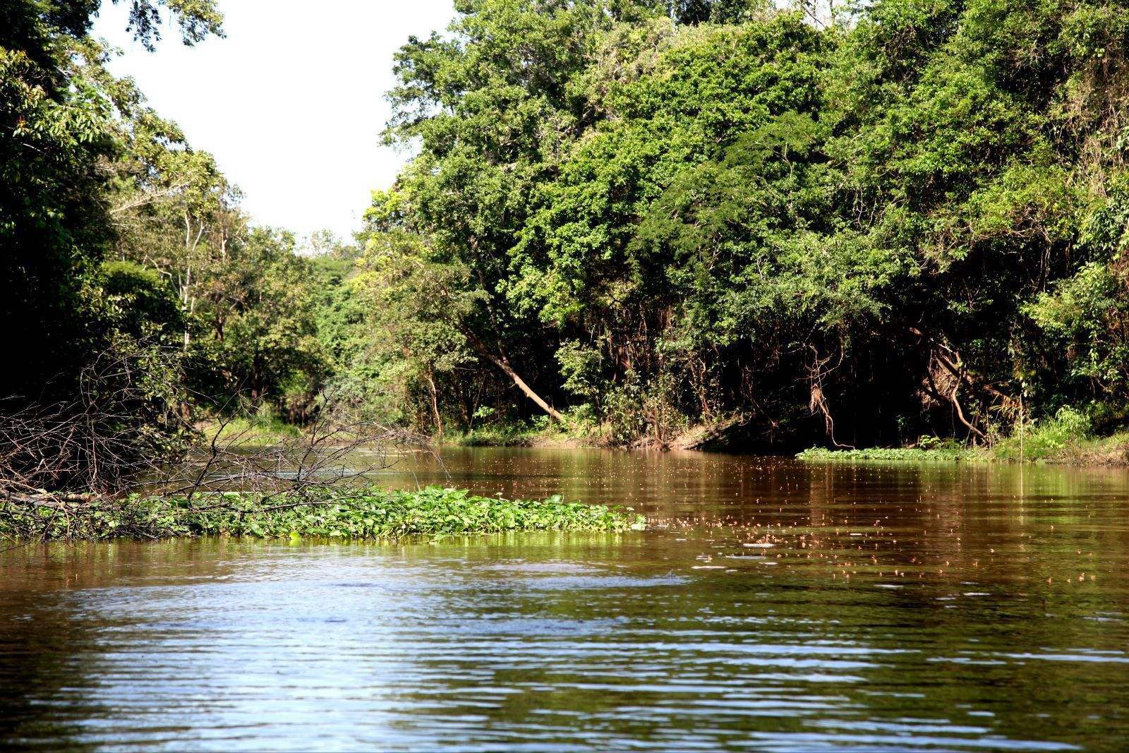 科学|世界上流量最大的河流，至今仍没有一座桥敢跨越它，这是为什么？
