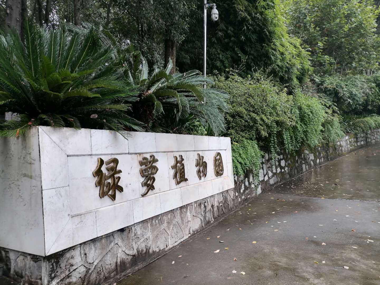 宜昌绿萝路植物园风光